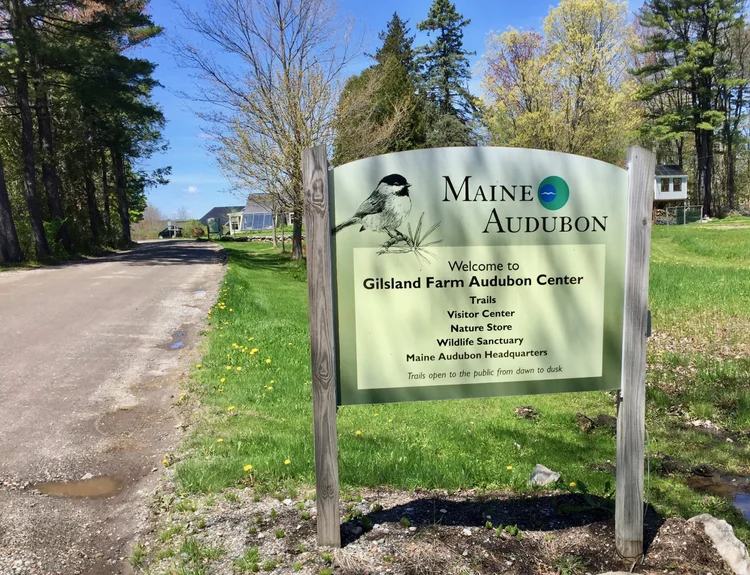Gilsland Farm (Maine Audobon)