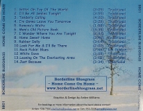 CD-0413, Borderline Bluegrass, Home Come On Home