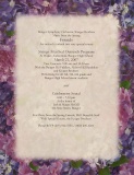POST-0712, Strings Attached Outreach Program, Bangor Symphony Orchestra, 2007